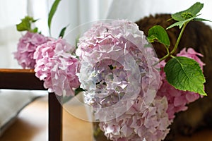 Beautiful pink and purple hydrangea flowers in sunny light on wooden rustic window sill. Summer tender blooming. Pastel petals in