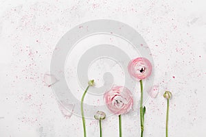 Beautiful pink ranunculus flowers on white table top view. Floral border in pastel color. Wedding mockup in flat lay style. photo