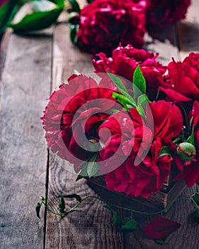Beautiful pink red marsala peony flowers on rustic wooden table with copy space for your text top view and flat lay style.