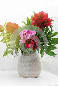 Beautiful Pink Red Peony Flowers Bouquet bunch Spring Composition in Ceramic Vase. Toned.