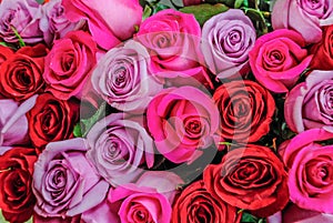 Beautiful pink and red roses flowers at a parisian flower store