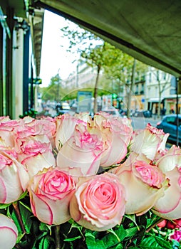 Beautiful pink and red roses flowers at a parisian flower store