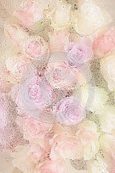 Beautiful pink rose flowers through the glass with waterdrops background