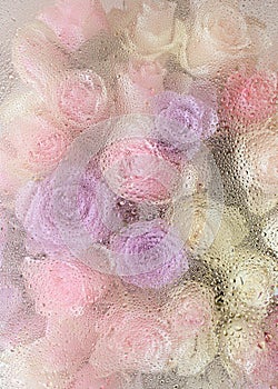 Beautiful pink rose flowers through the glass with waterdrops background