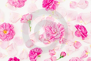 Beautiful pink rose flowers and petals on white background. Flat lay, top view. Floral pattern