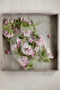 Beautiful pink and rose flowers on wood plate