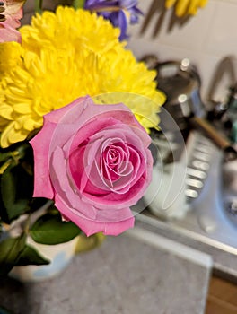 Beautiful pink rose in full bloom in a bunch of flowers