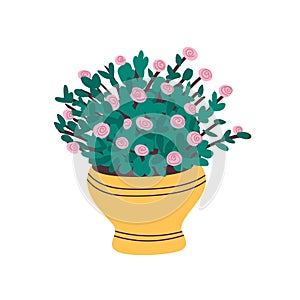A beautiful pink rose grows in a pot.Indoor plant with green leaves in a yellow pot.Potted plant rose.vector