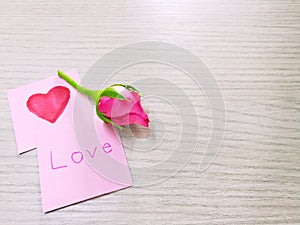 Beautiful pink rose, love pink paper