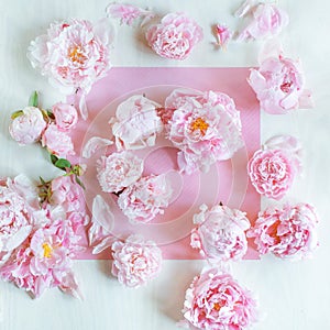 Beautiful pink, rose peonies decorated on white wood table