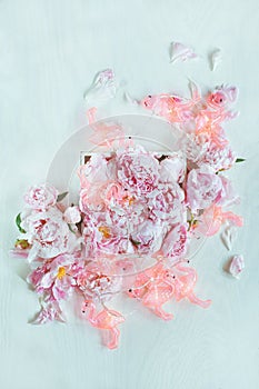 Beautiful pink, rose peonies decorated on white wood table with funny flamingo chain of lights