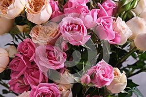 Beautiful pink roses as background, closeup. Floral design.