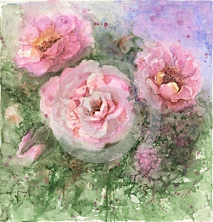 Beautiful pink roses on blurred background. Watercolor painting. Hand painted floral illustration