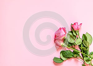 Beautiful pink roses bouquet on soft background