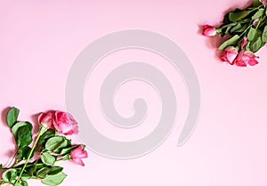 Beautiful pink roses bouquet on soft background