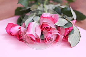 Beautiful pink roses bouquet on soft background