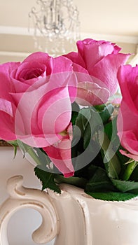 Beautiful pink roses in a cream jug