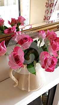 Beautiful pink roses in a cream jug