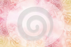 Beautiful pink roses flower border on soft background for valentine