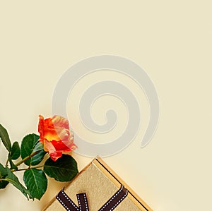Beautiful pink roses with golden gift box and bow on delicate yellow paper background. Greeting card for Valentine`s Day. With