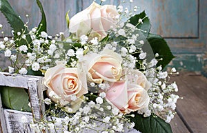 Beautiful pink roses and gypsophila paniculata (Baby's-breath