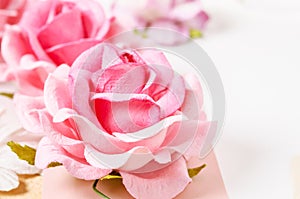 Beautiful pink roses.