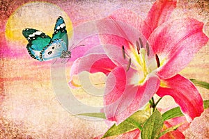 Beautiful pink royal lily and blue butterfly retro image