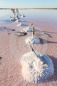 A beautiful pink salt lake with healing mud. Kuyalnik.