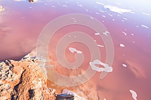 Beautiful Pink Salt Lake Laguna Scenery with Small Rocks Blue Purple Magenta Color Gradient. Bright Sunlight. Travel Unique Places