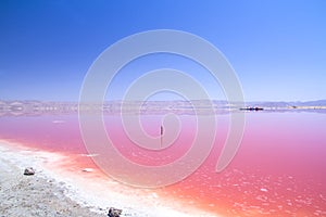 Beautiful pink Salt Lake of Shiraz, Iran.