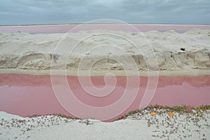 Pink Lake Las Coloradas Yucatan Mexico photo