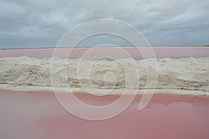 Pink Lake Las Coloradas Yucatan Mexico photo