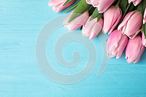 Beautiful pink spring tulips on light blue wooden background, flat lay. Space for text