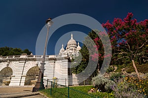 Beautiful pink tree and flowers near the Basilica. Paris, France