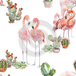 Two flamingos with cactus on white background. Watercolor hand drawn seamless pattern. Rastra. Boho modern style. For