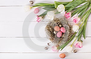 Beautiful pink tulips with colorful quail and chicken eggs in nest on white wooden background.