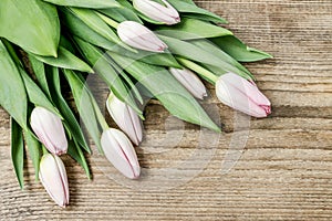 Beautiful pink tulips on wood