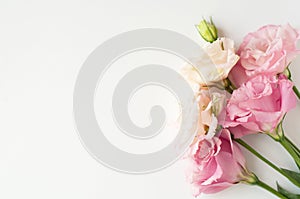 Beautiful pink and white eustoma flowers lisianthus in full bloom with green leaves. Bouquet of flowers on a white background