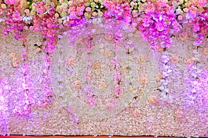 Beautiful pink and white flower backdrop white spot light.