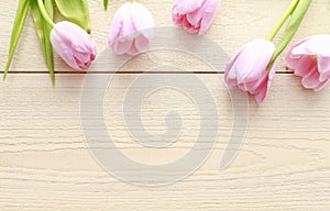 Beautiful pink and white tulips on wooden background