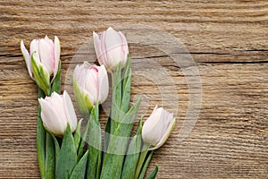 Beautiful pink and white tulips on wooden background