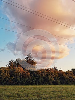 Beautiful pink yellow red purple evening sky clouds in forest park. Landscape scene view with grass field meadow, trees. Twilight