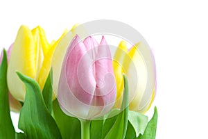 Beautiful pink and yellow tulip bouqet