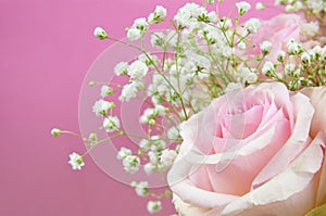 Beautiful pinke rose flowers bouquet in a corner