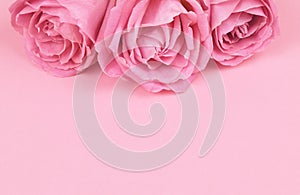 Beautiful pinke rose flowers in a top of paper background