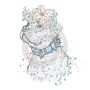 A beautiful pit bull in a wreath of flowers. Vector illustration for a postcard or a poster, print on clothes, a cover or a bag.