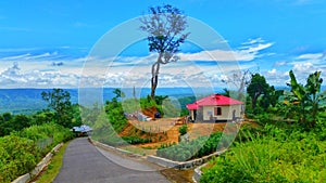 The Beautiful place in Bangladesh is called Sajek up on the hill