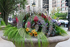Beautiful Planter on Michigan Avenue in Downtown Chicago with Plants and Flowers