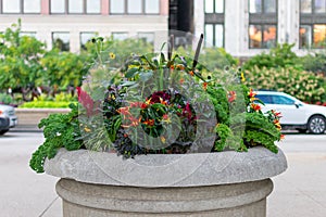 Beautiful Planter on Michigan Avenue in Downtown Chicago with Plants and Flowers