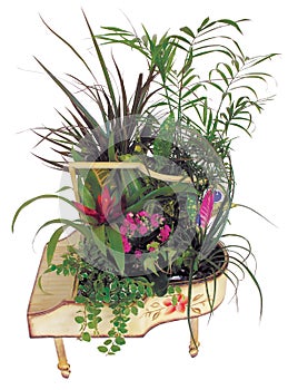 Beautiful plants arrangement